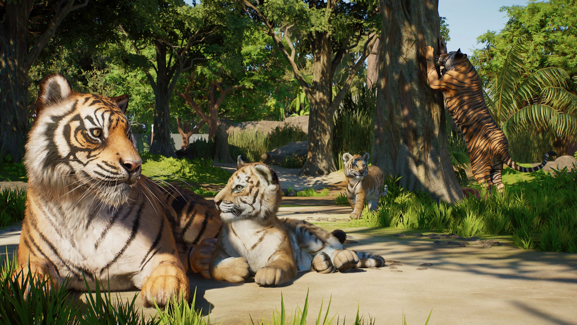 Planet Zoo 2 arrive en octobre avec aquariums, volières et une gestion plus poussée image 1
