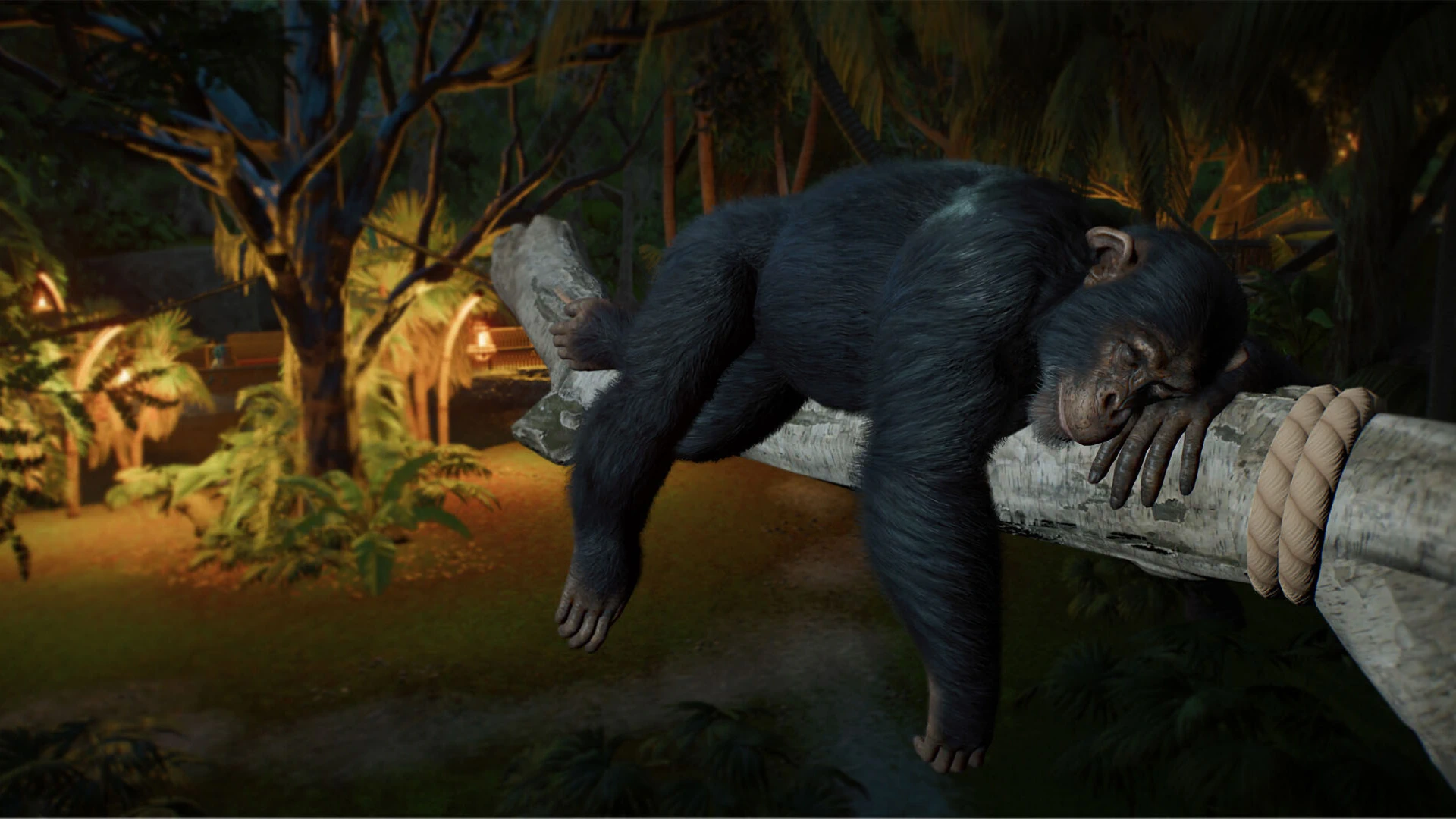 Planet Zoo 2 arrive en octobre avec aquariums, volières et une gestion plus poussée image 2
