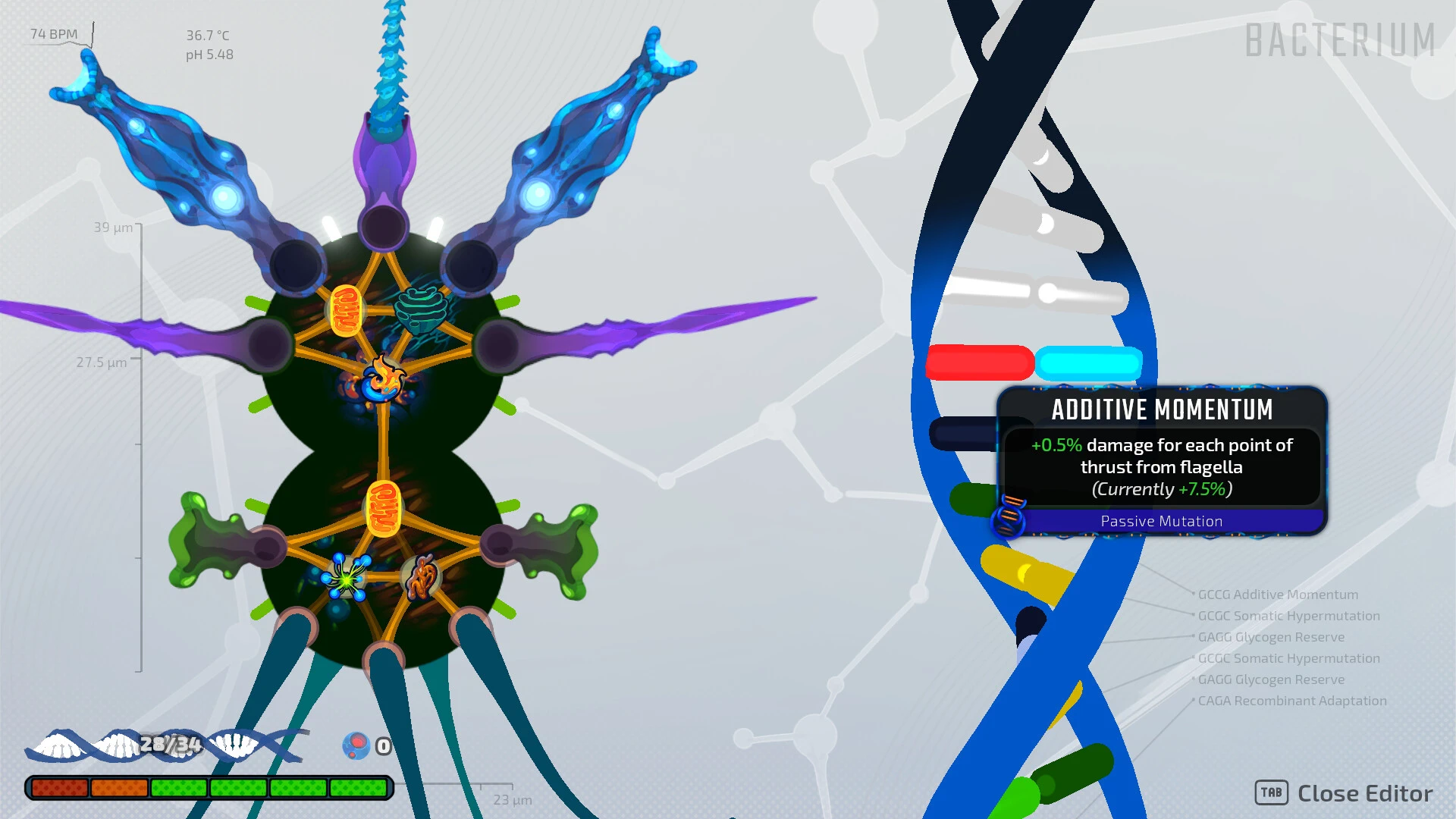 Pathogenic : devenez la maladie dans un roguelike cellulaire prévu le 16 juillet 2026 image 2